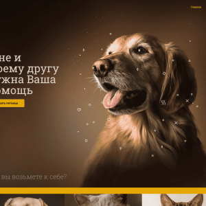 Приют для животных