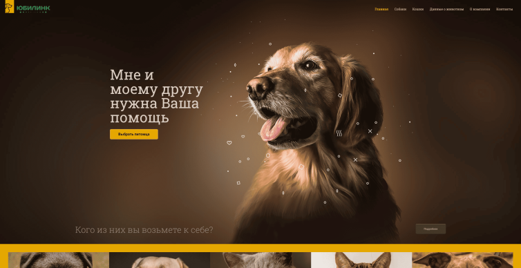 Приют для животных